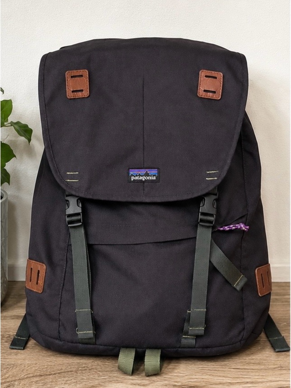 Patagonia Black Arbor backpack